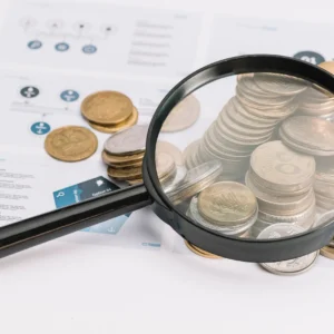 Fostering Transparency and Accountability in the Public Sector: Principles, Practices and Tools