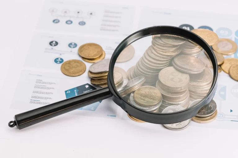 Fostering Transparency and Accountability in the Public Sector Principles, Practices and Tools