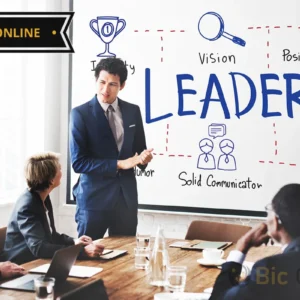 Leadership Skills for Organizational Excellence How to Lead Yourself and Others Effectively In Various Areas - Online