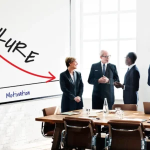 Political Risk for Businesses: How to Understand and Manage the Political Risk- Online